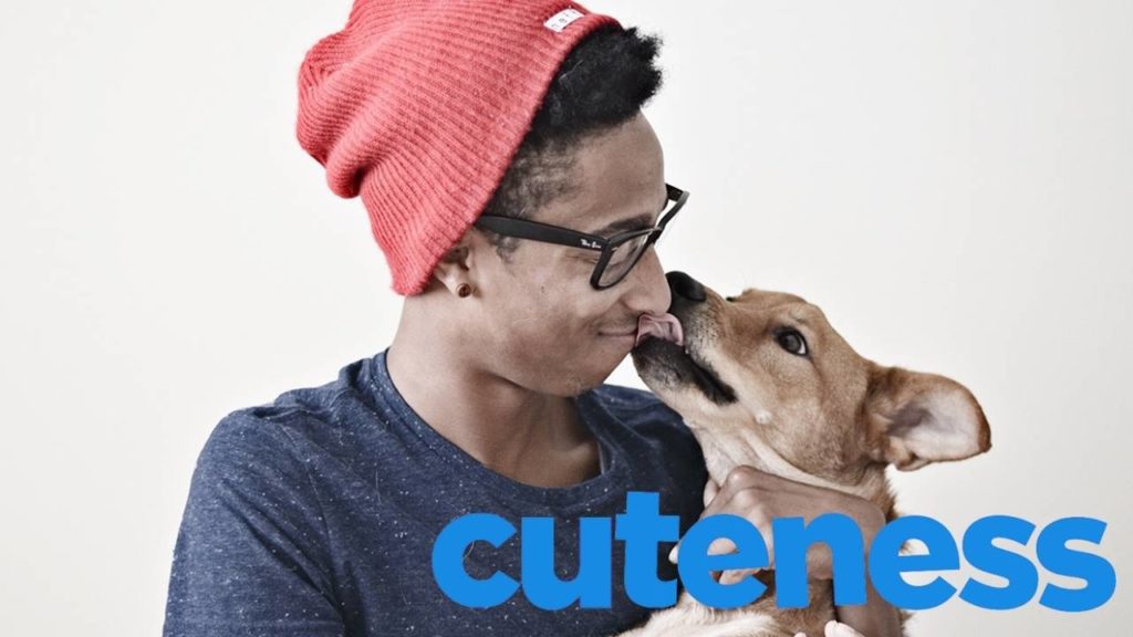 cuteness banner with man and dog